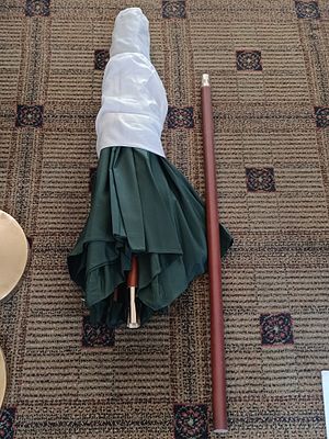 A Outdoor Umbrella with Dark Green Canopy and Brass-Toned Base