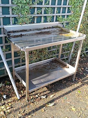 A Contemporary Stainless Steel Two-Tier Commercial Work Table -110 * 71cm