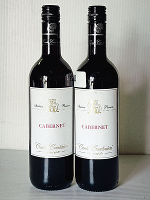 A Pair of Conti Cantinieri Italian Passion Cabernet Wine Bottles