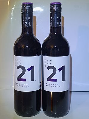 A Pair of Ventuno 21 Cabernet Sauvignon Wine