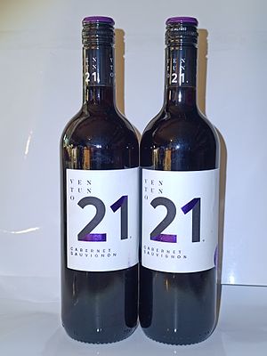 A Pair of Ventuno 21 Cabernet Sauvignon Red Wine Bottles