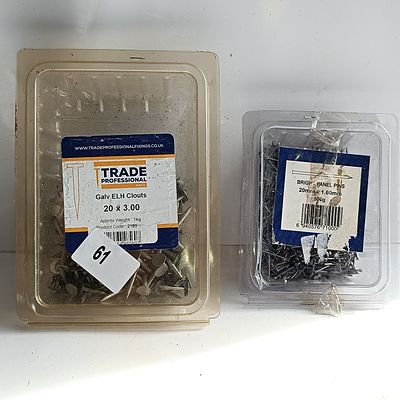 Two Containers of Steel Hardware Fasteners Including Galvanized Clout Nails and Bright Panel Pins