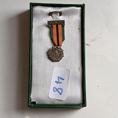 Miniature Irish 1916 Rising Medal