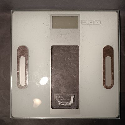 Camry Digital Body Fat and Hydration Monitor Scale