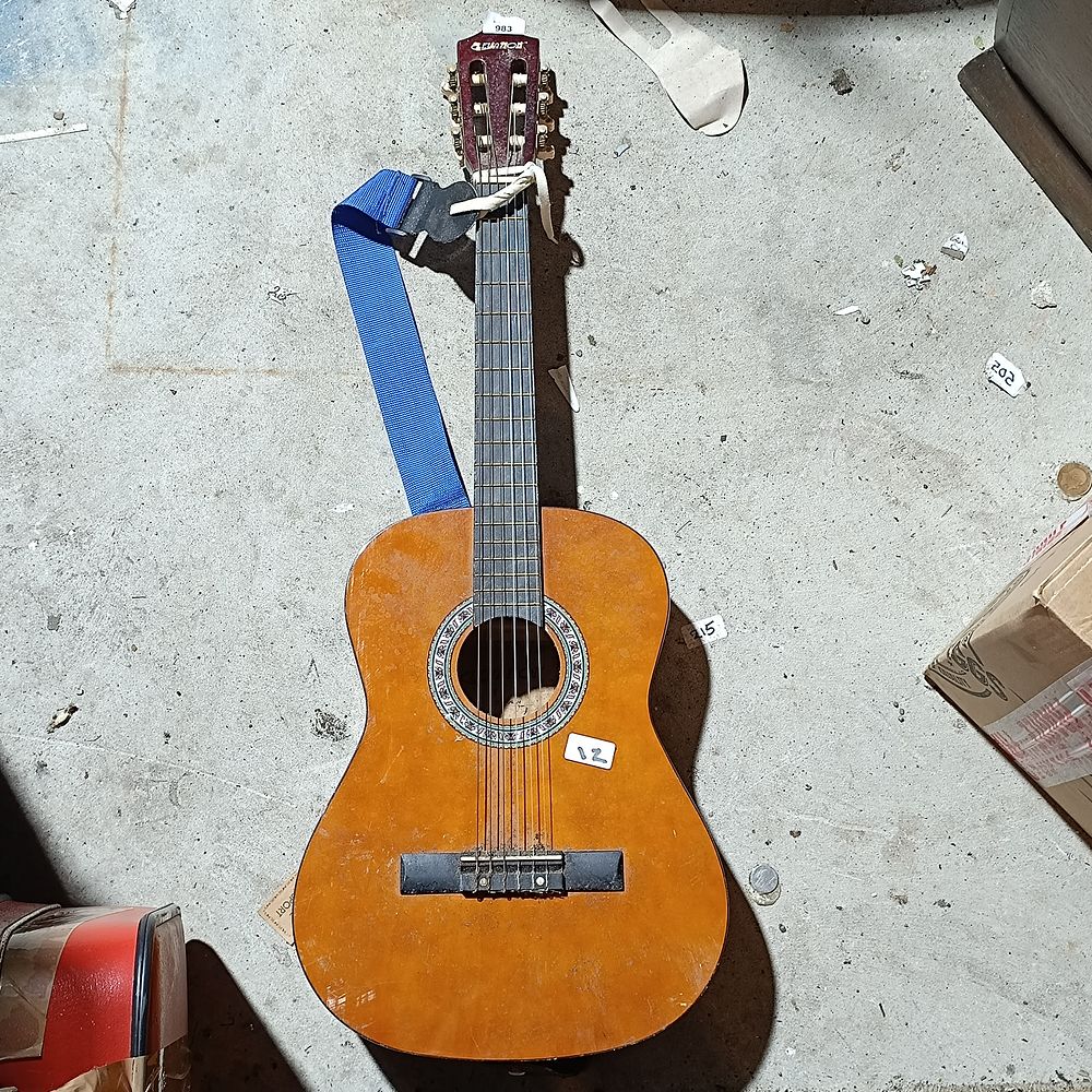 Elevation Model W 569/A Six-String Acoustic Guitar