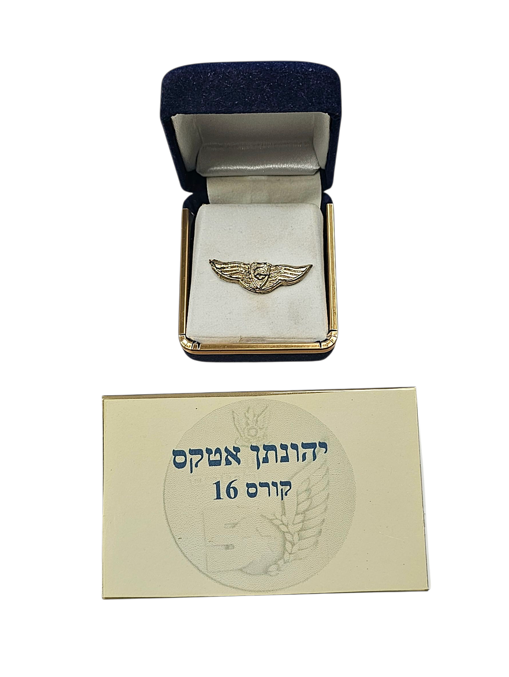 Golden wings of the Air Force, presented to graduates of the course, on the 50th anniversary. 
