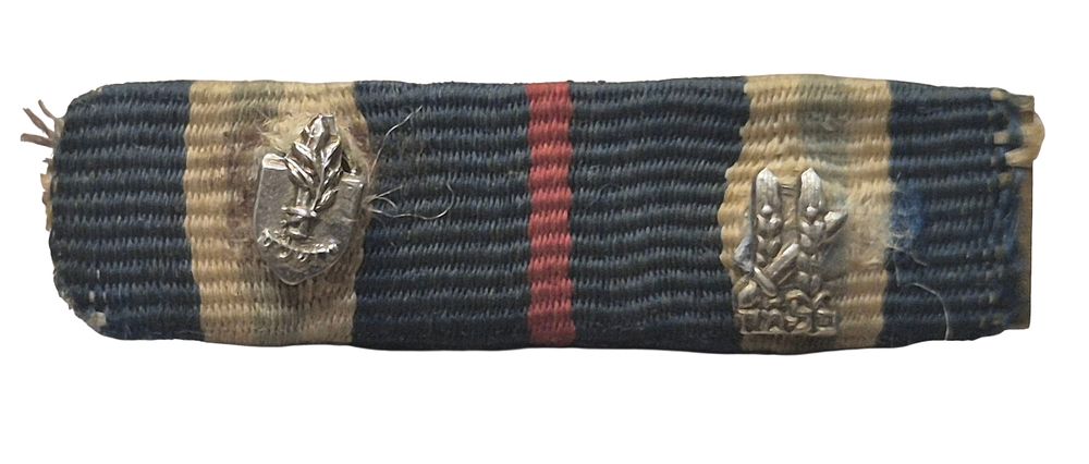 *נדיר -זוג סיכות פלמ"ח ירושלים , עיטורים זעירים שנענדו על אות מלחמת הקוממיות על גבי אות מלחמת 