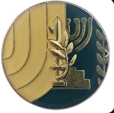 ***מסווג - סיכת מגן דוד משרד הביטחון, שב"כ . 
קוטר 2 ס"מ.