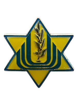 ***מסווג - סיכת מגן דוד משרד הביטחון, שב"כ , מוסד ? 
סיכה בצורת מגן דוד בצבע כחול-צהב עם סמל 