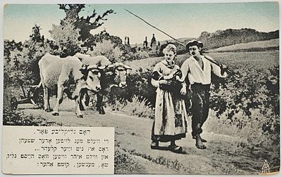 יודאיקה - גלויה כרטיס ברכה שנה טובה מסביבות שנת 1920, המציגה זוג צעיר עם פרות בנוף כפרי, עם שיר 