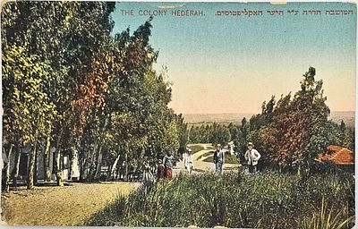 גלויה - מושבת גדרה - המושבה גדרה ע"י היער האקליפטוס, הוצאת מתיתיהו אליהו מוקדם.