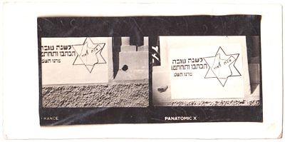 שנה טובה תצלום שנת גאלה תש"ט, בגב כיתוב באידיש בחתימת פשנל... (ככל הנראה לא אברהם דשא... ) 