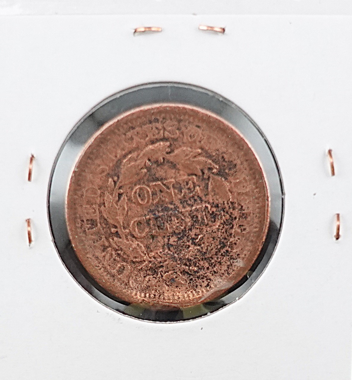(2) Braided Hair Large Cents