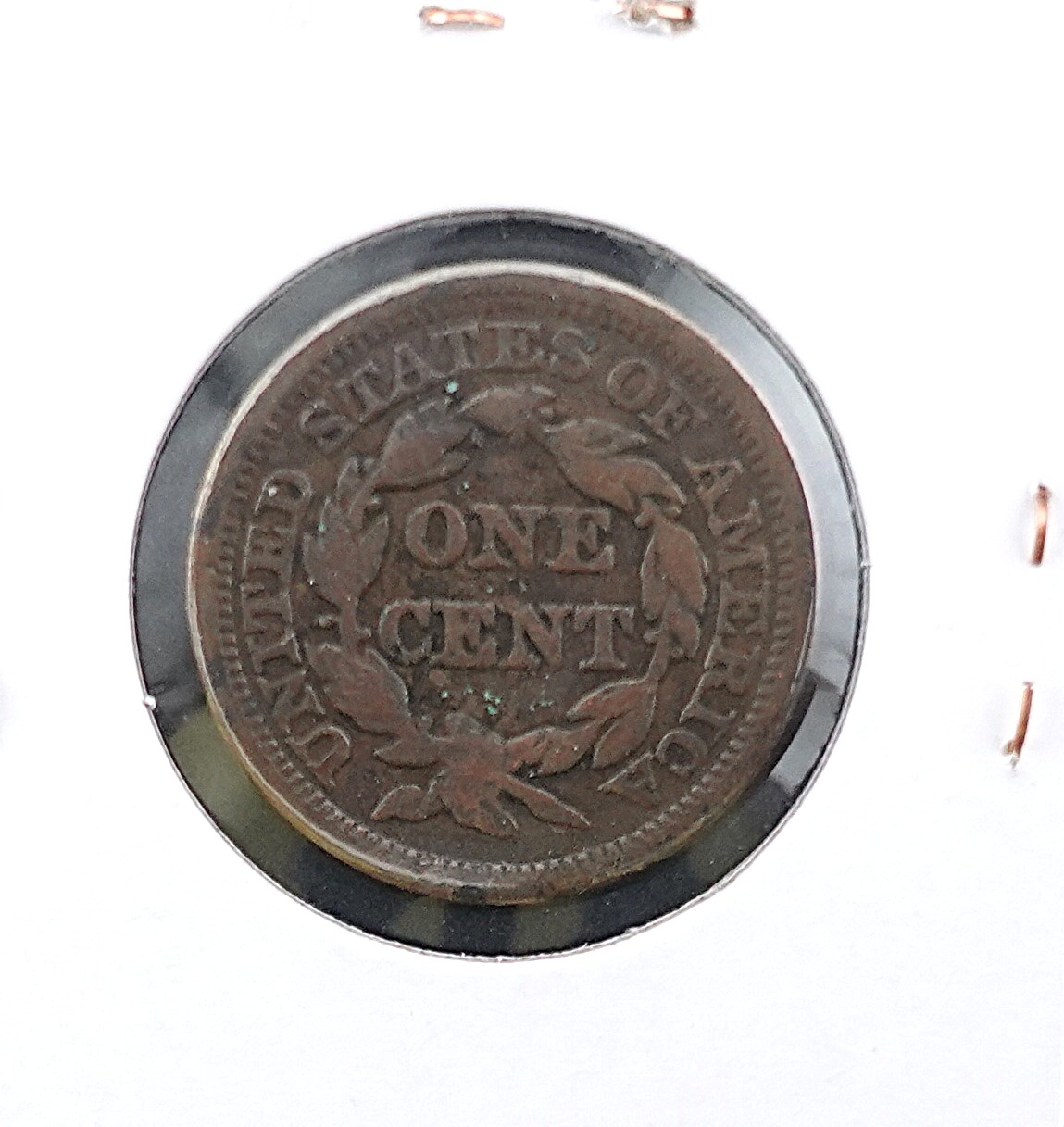(2) Braided Hair Large Cents