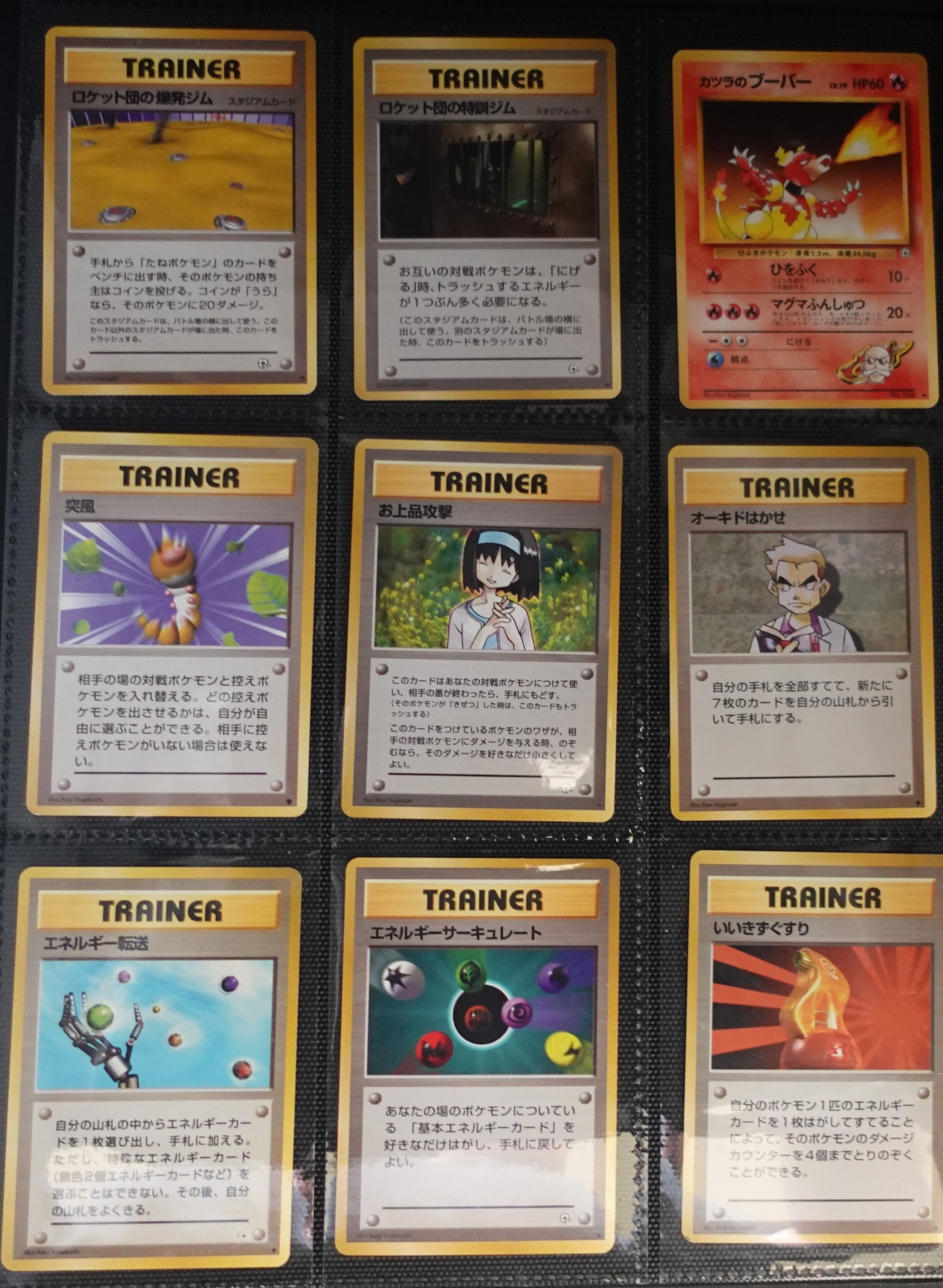 230 Japanese Pokémon Collection