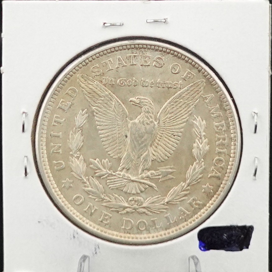 1921 Morgan Dollar