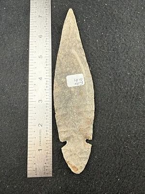 Turkeytail from Fulton County, Kentucky Indian Artifact Arrowhead. KEY WORDS: INDIAN ARTIFACT 