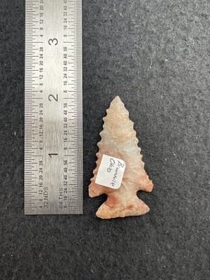 Pine Tree Indian Artifact Arrowhead. KEY WORDS: INDIAN ARTIFACT ARTIFACTS ARROWHEAD ARROWHEADS 