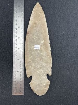 Turkeytail Indian Artifact Arrowhead. KEY WORDS: INDIAN ARTIFACT ARTIFACTS ARROWHEAD ARROWHEADS 