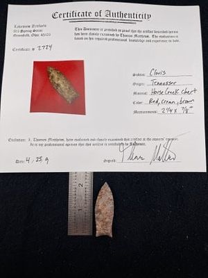 Clovis from Tennessee with Thomas Mathews COA. KEY WORDS: INDIAN ARTIFACT ARTIFACTS ARROWHEAD 