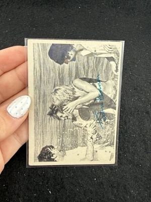 Beetle Card. KEY WORDS: INDIAN ARTIFACT ARTIFACTS ARROWHEAD ARROWHEADS NATIVE AMERICAN 
