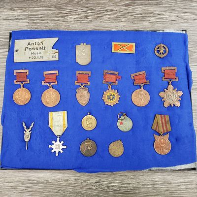 VINTAGE MILITARY PINS, MEDALS & PLAQUES FROM CHINA, VIETNAM, KOREA & MORE, WITH DISPLAY CASE. Thi 