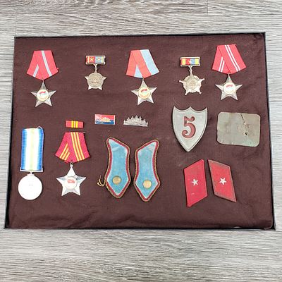 MILITARY PINS & MEDALS FROM VIETNAM, CAMBODIA & UK, WITH DISPLAY CASE. This lot includes all of 
