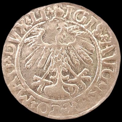 Литва ½ гроша, 1533 - 1569 года