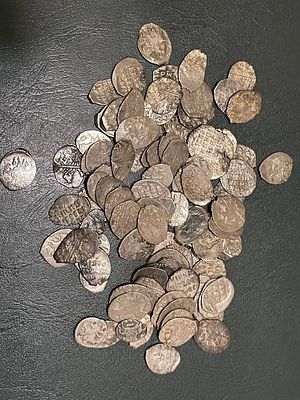Монеты - чешуя. 100 штук. До Петра 1 (включительно)