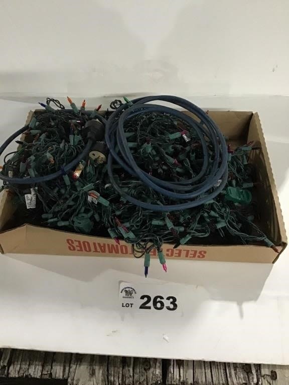 Lot 263: CHRISTMAS LIGHTS