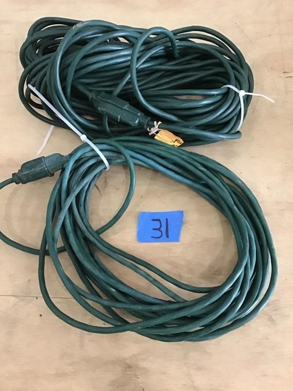 Lot 31: EXTENSION CORDS