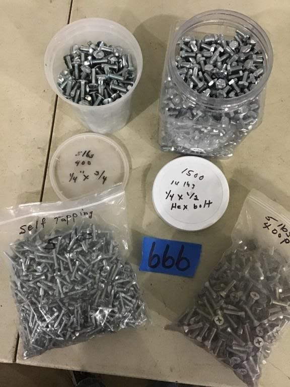 Lot 666: BOLTS AND SCREWS