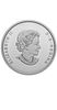 2022 $50 Canadian Collage - 3 oz Pure Silver Coin צאו למסע בלתי נשכח ברחבי קנדה עם מטבע כסף תמונה - 1