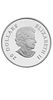 2012 Canada $20 Holiday Snowflake with Swarovski Crystal - 
1 oz Fine Silver Coin 
מטבע של 20 תמונה - 1