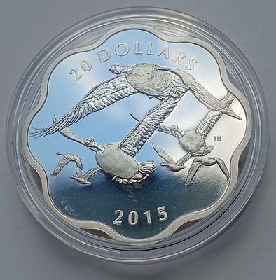 מטבע כסף פרוף טהור 999 "אווזי קנדה" 2015. משקל: 26.51 גרם. הטבעה: 6,000 יחידות. נתון בקופסאת עץ 