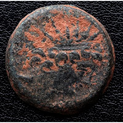 GRECIA ANTIGUA - 121/0-97/6 a. C. Reyes sel&eacute;ucidas de Siria. Ant&iacute;oco VIII Ep&iacute;fanes (Grypos). 