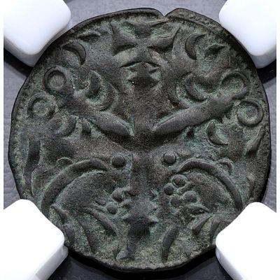 MONEDA MEDIEVAL. 1200-1256. Alfonso IX. Sin ceca - Dinero. Ve. MBC+