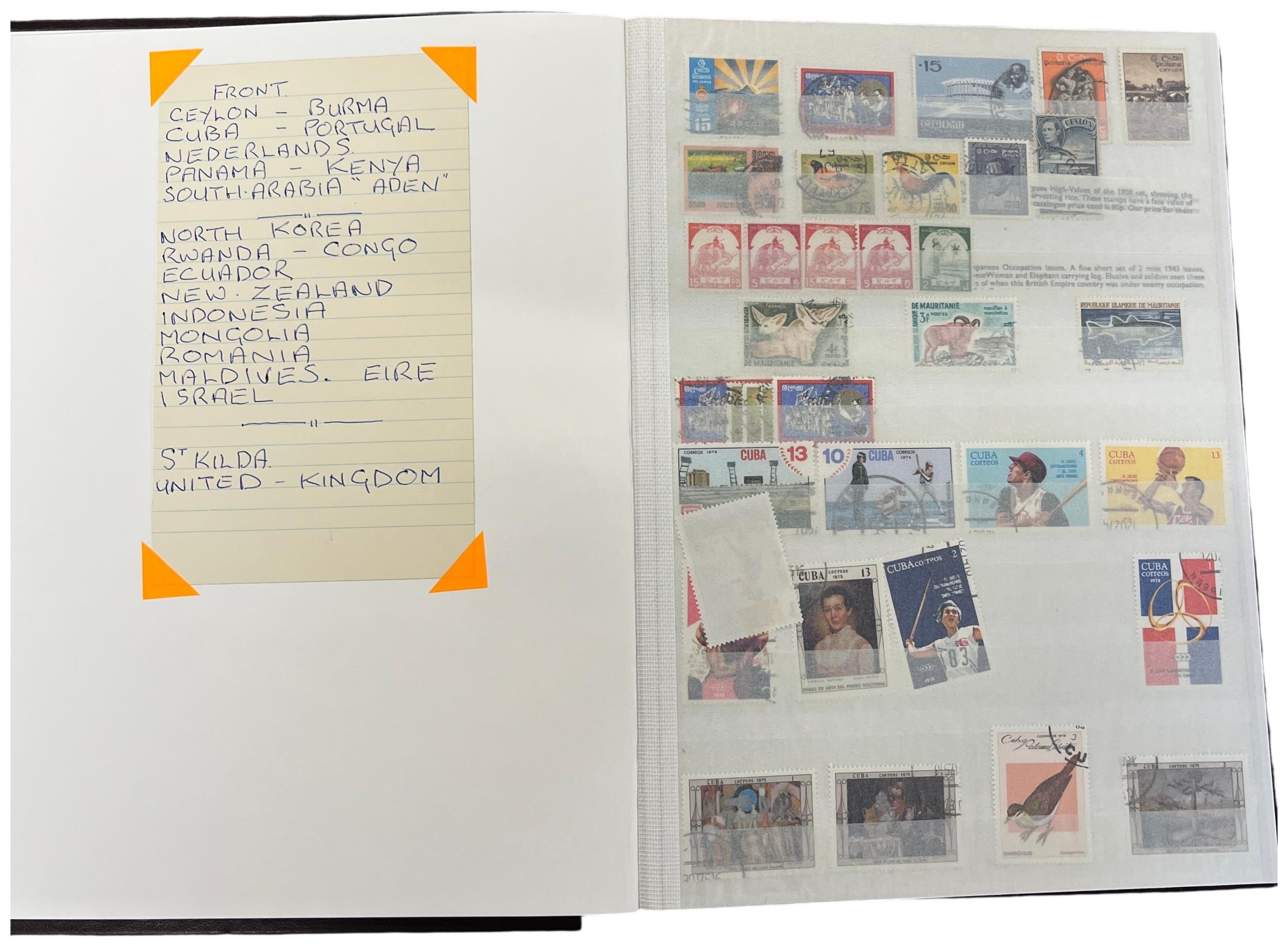 Lot 251