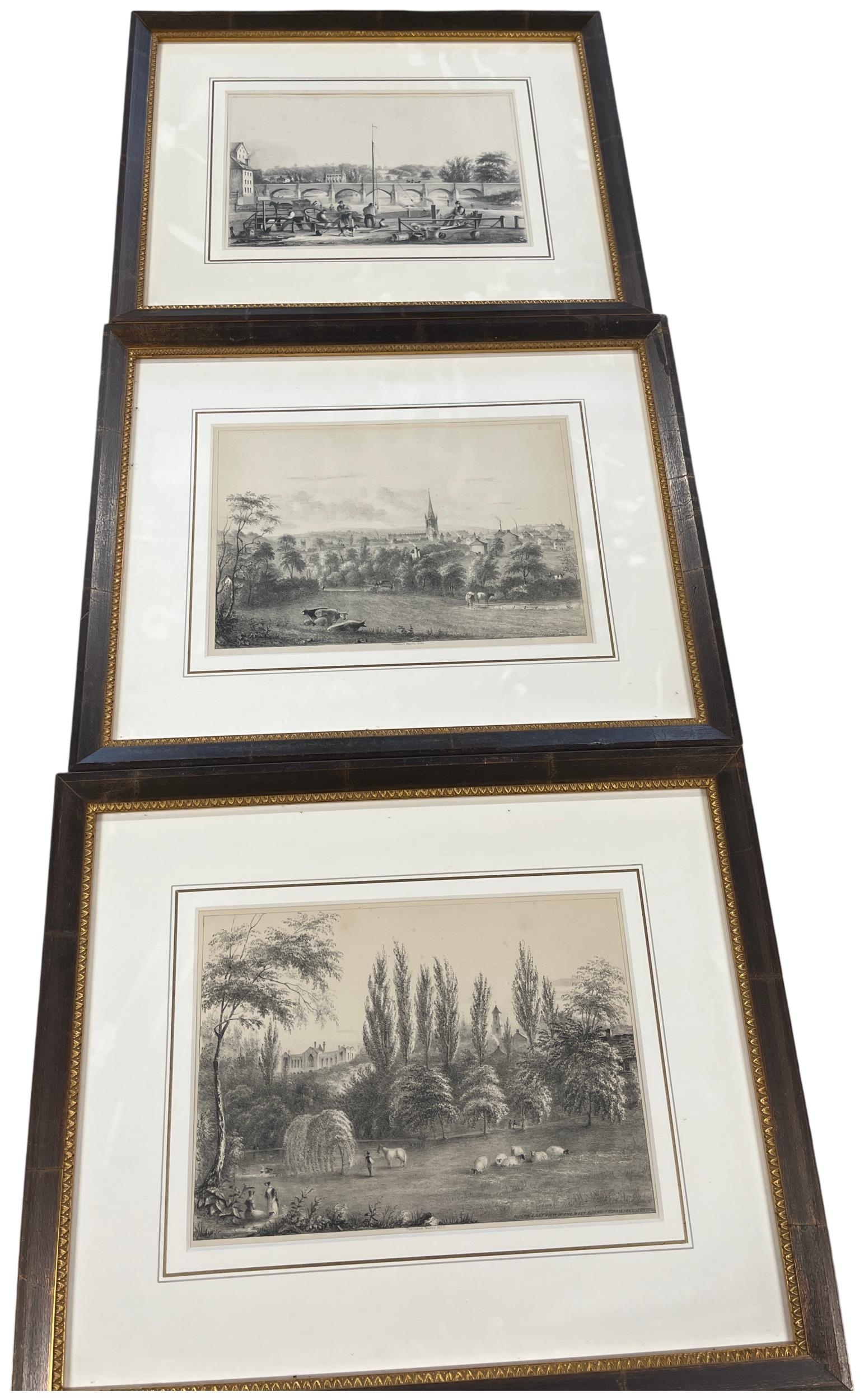 Lot 392