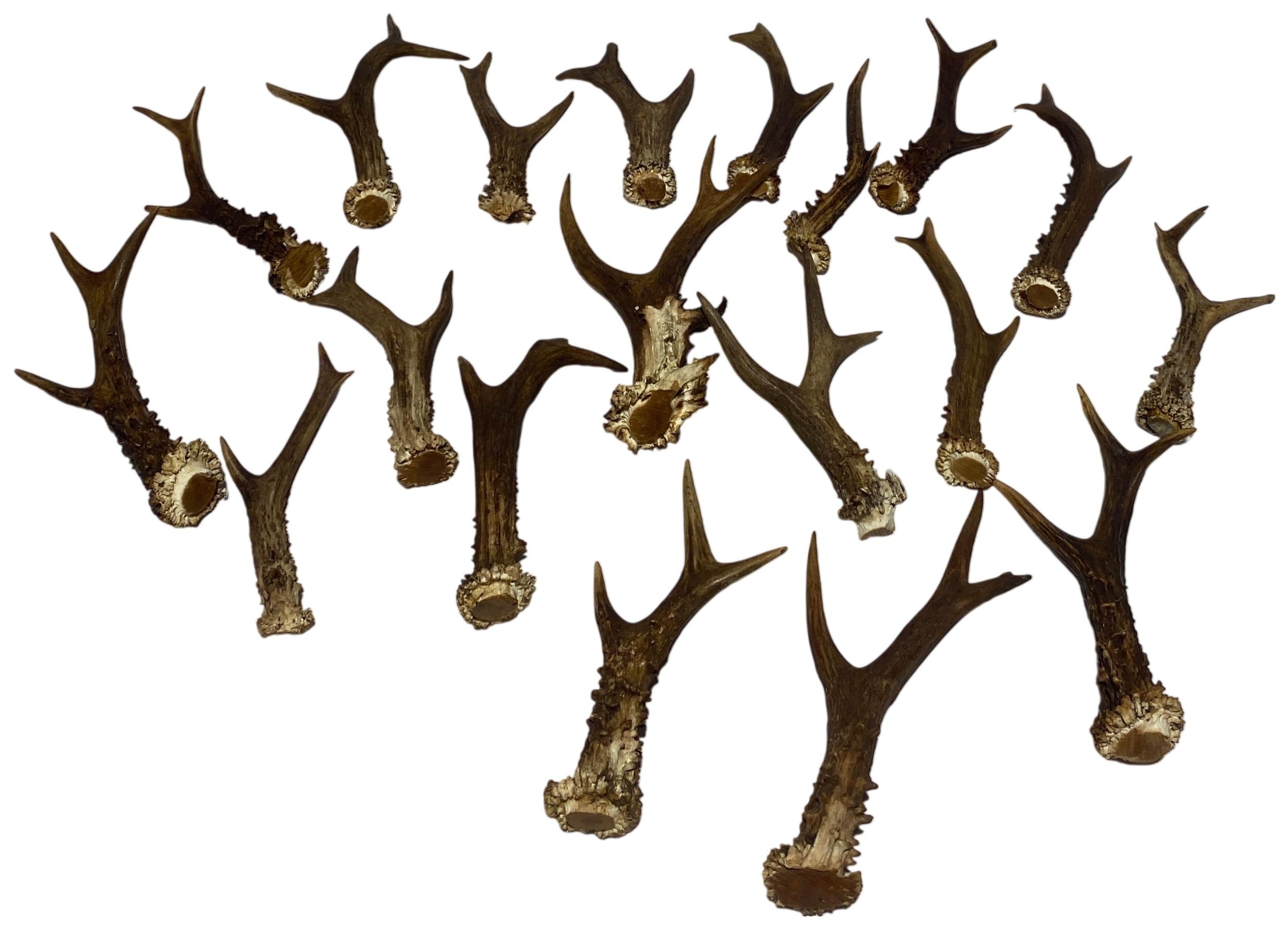 Lot 76