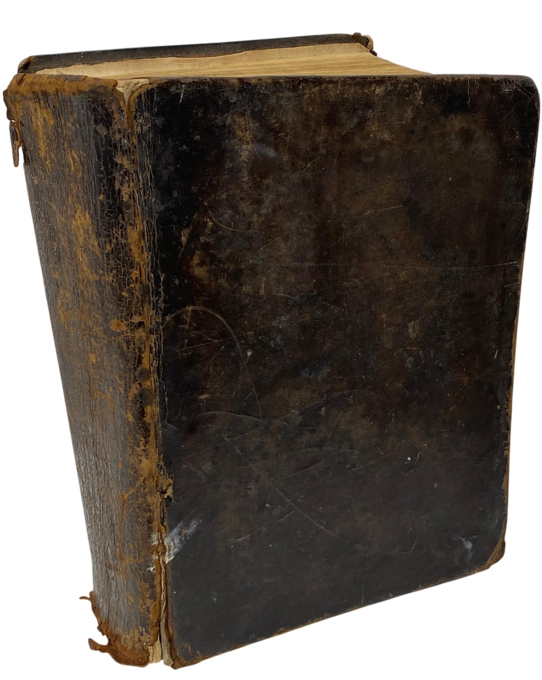 Lot 435