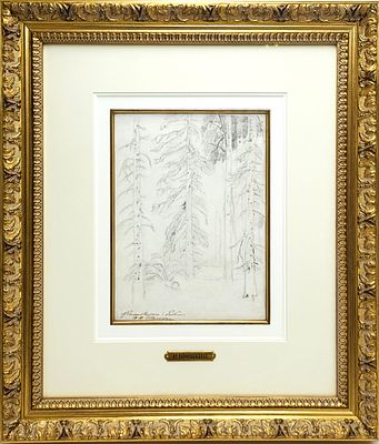 Шишкин Иван Иванович (1832-1898) - Хвойный лес. Конец 1860-х - начало 1870-х гг. Бумага, графитный 