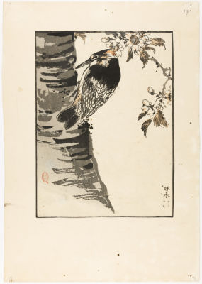 [Японское искусство, жанр катё-э] Неизвестный мастер XIX в. 