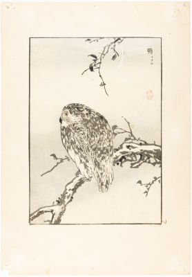 Неизвестный мастер XIX в. Ксилография "Филин", Япония 
Размер: 14,6 х 20,6 см (ксилография) 