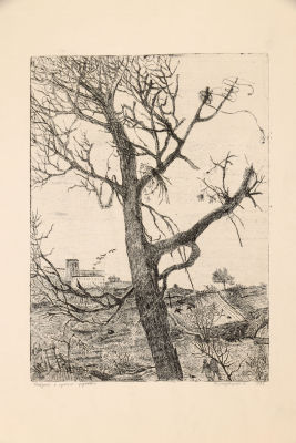 Полторацкая Н.В. Офорт &laquo;Пейзаж с сухим деревом&raquo;, 1975 г. 
Бумага, типографская краска. 