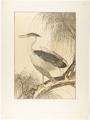 [ЯПОНСКОЕ ИСКУССТВО XIX В., ЖАНР КАТЁ-Э] Неизвестный мастер XIX в. Ксилография "Цапля" 