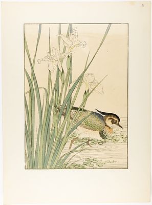 [ЯПОНСКОЕ ИСКУССТВО XIX В., ЖАНР КАТЁ-Э] Неизвестный мастер XIX в. Ксилография "Утка и ирисы" 