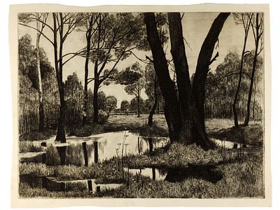 Колпащикова Т.Б. Офорт "Дубовая роща. Гороховец", 1980 г. 
Бумага, офорт. Размеры: 29 х 38,5 