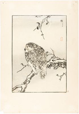 [ЯПОНСКОЕ ИСКУССТВО XIX В., ЖАНР КАТЁ-Э] Неизвестный мастер XIX в. Ксилография "Филин" 