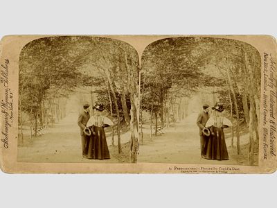 Стереофотография "Пронзен стрелами Купидона". США, Нью-Йорк, начало 20 века. 
Размер 9х18 см. 